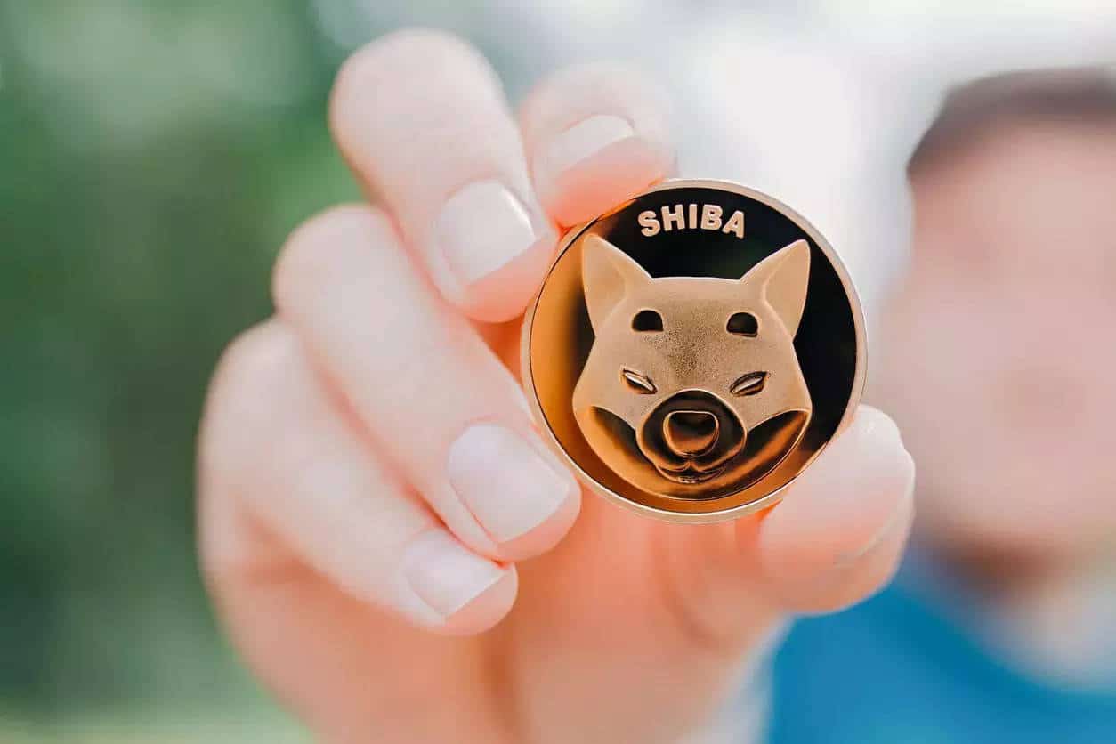 Shiba Inu Koers Verwachting - Kan SHIB Meeliften met Bonk in Meme Coin Bull Run?