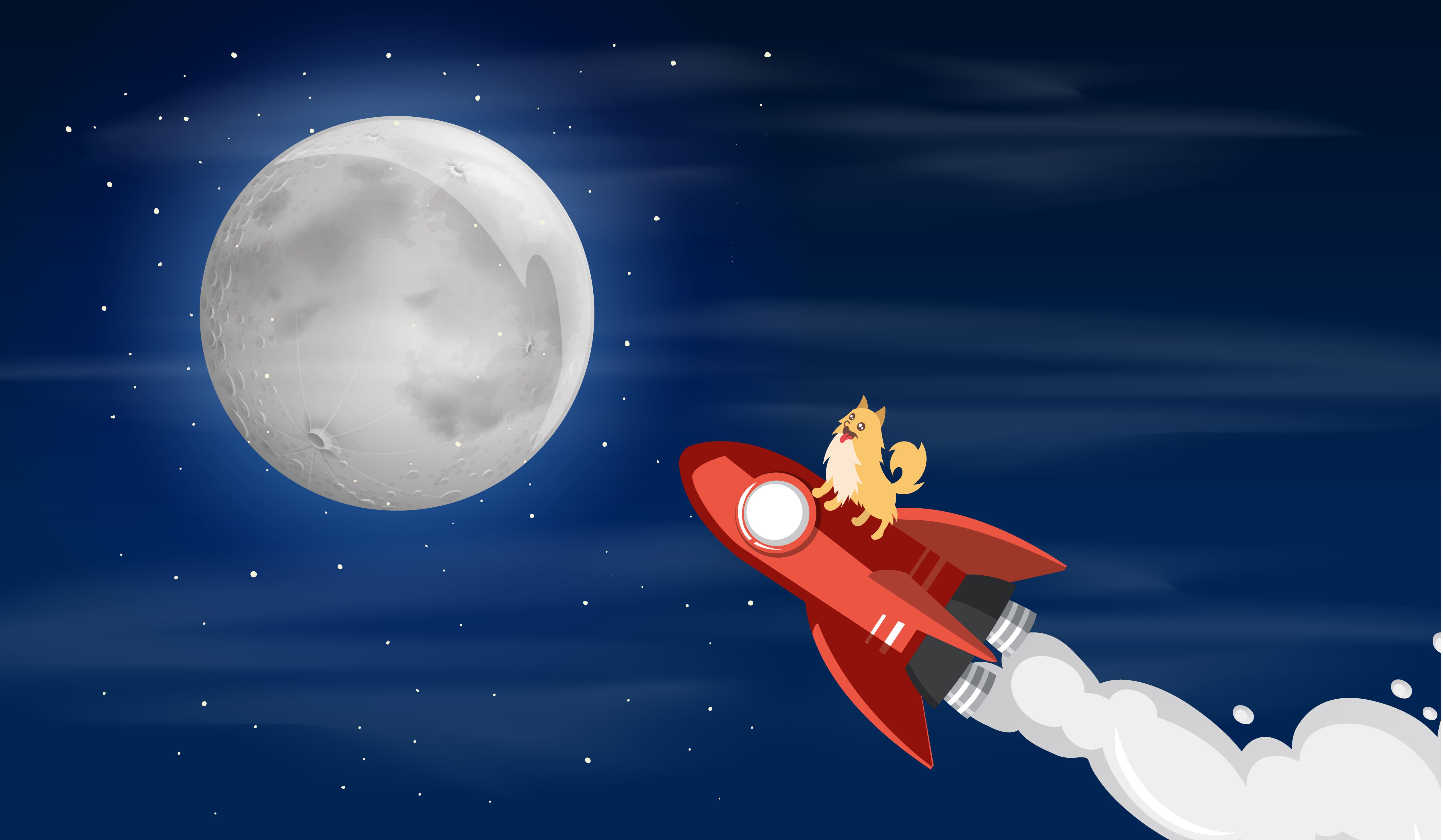 Dogecoin to the Moon Rakete - Coverbild