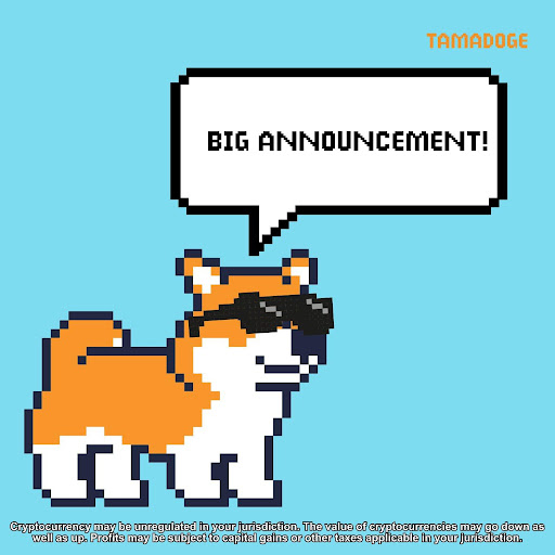 TamaDoge'un İlk P2E Oyunu Super Doge Piyasaya Sürüldü
