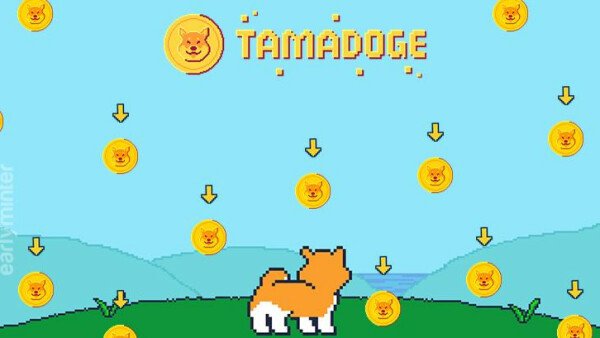 Tamadoge agrega al peso pesado de los videojuegos, Jon Bishop, como director ejecutivo