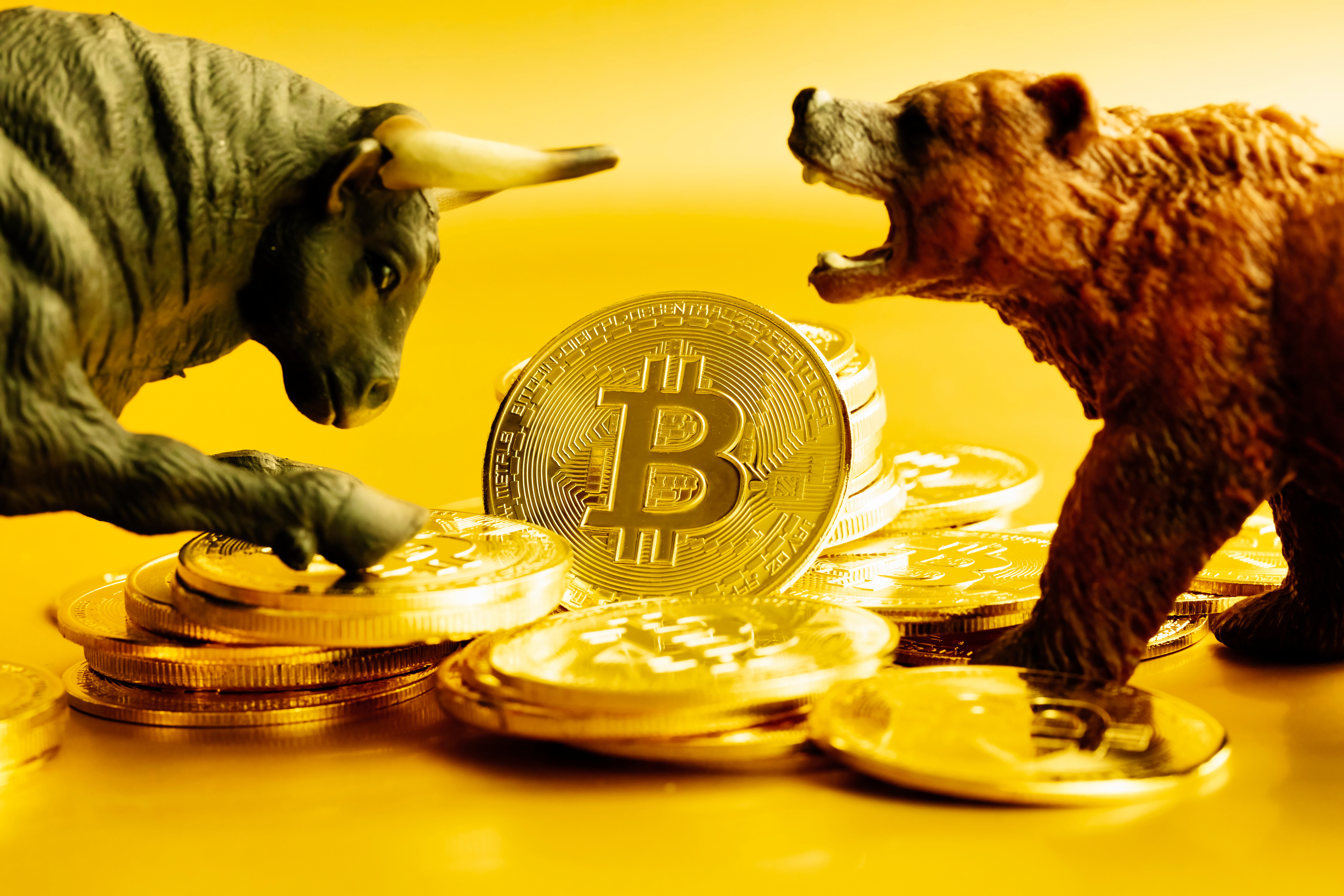 bitcoin bulls vs bears