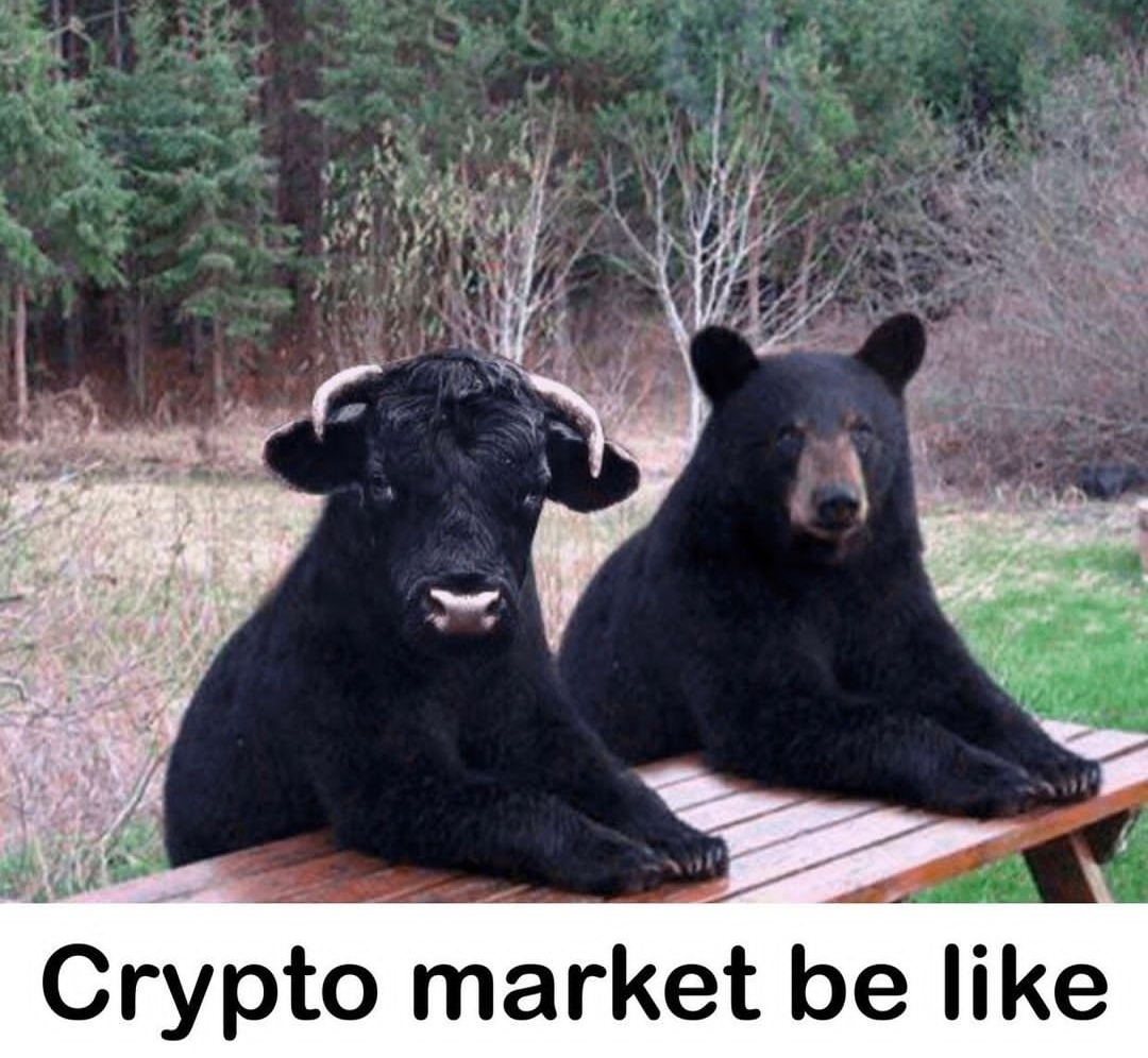 Persisting Gaps, HODLing Coins, Green-Lighting Deals and 20 Crypto Jokes