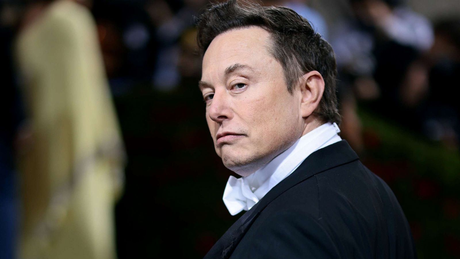 La communauté technologique est divisée par la pétition d'Elon Musk visant à arrêter le développement de l'IA