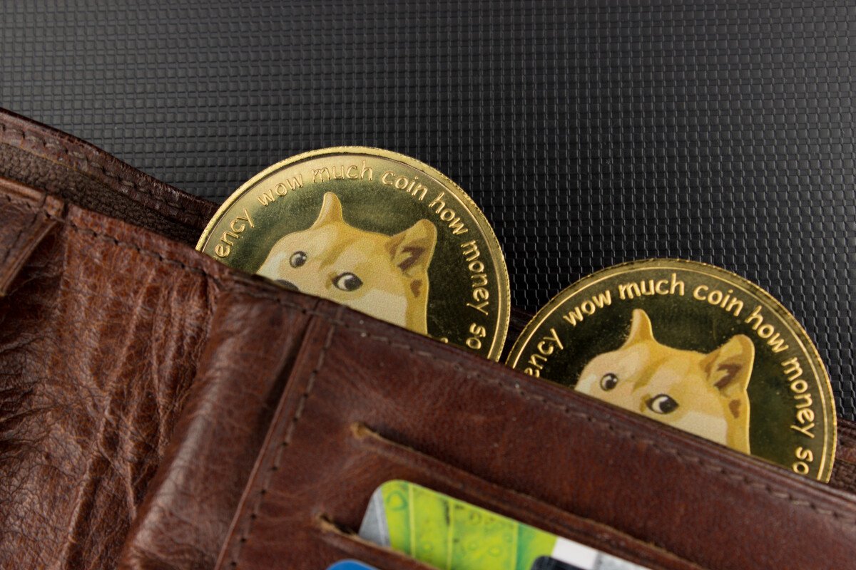 is-it-too-late-to-buy-dogecoin-as-doge-pumps-up-20-in-30-days-will-doge-reach-usd1-this-year