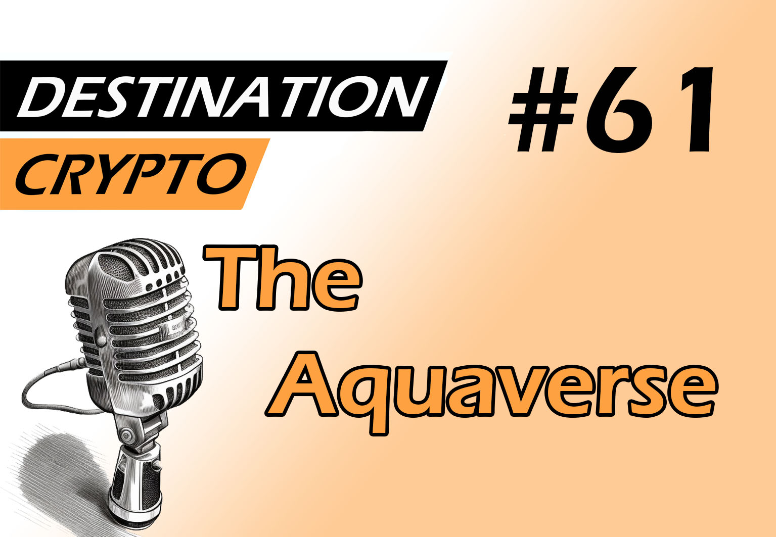 61# - ITW avec Noël Esnault, co-fondateur de TheAquaverse | Le Web3 via l'aquaculture (podcast)