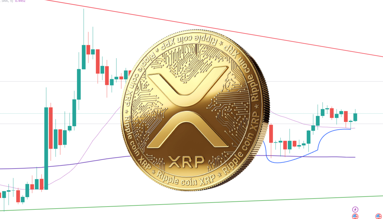 XRP Price Prediction As Brad Garlinghouse Comments on SEC vs Ripple Case - Lawsuit Judgement Soon