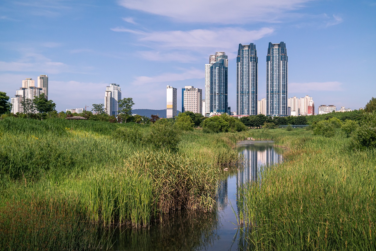 Skyscrapers in Ulsan, South Korea.