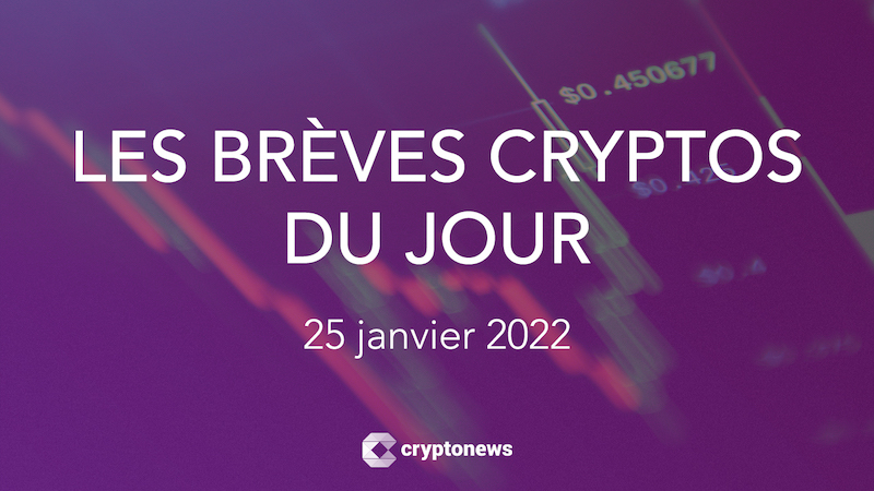 Les brèves cryptos du 25 janvier 2022