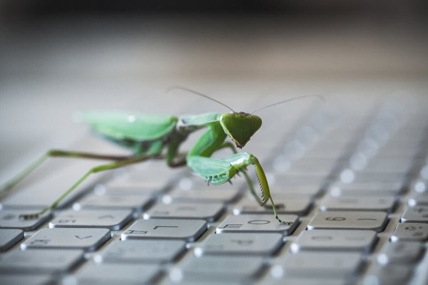Axie Infinity offre ricompense agli hacker per trovare bug