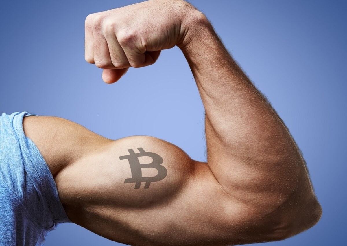 Bitcoin On-Chain Metrics Strongest Among Peers