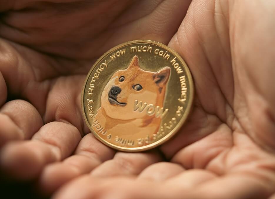 Dogecoin is Heading to Zero, According to Industry Panel