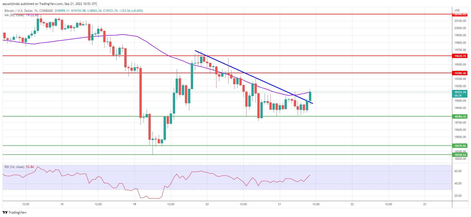 , Bitcoin worth and Ethereum aiming increased, XRP poised for extra beneficial properties