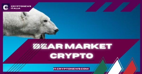 Bear market crypto: le migliori criptovalute da comprare in fase ribassista