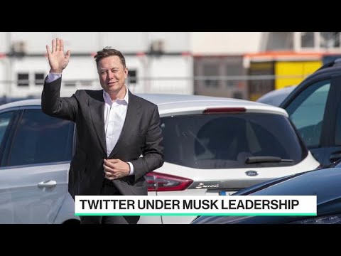 Twitter, Elon Musk and Content Moderation