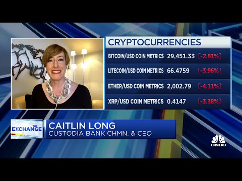 Bitcoin Could Still Go Down Due To The 'Bubble Dynamic,' says Caitlin Long