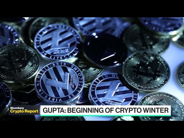 Crypto Winter Is Just Beginning, Says Kavita Gupta