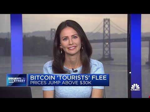 Bitcoin 'Tourists' Flee As Price Ticks Above USD 30,000