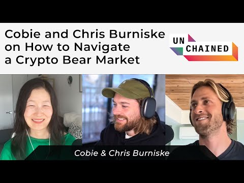 Cobie and Chris Burniske on How to Navigate a Crypto Bear Market