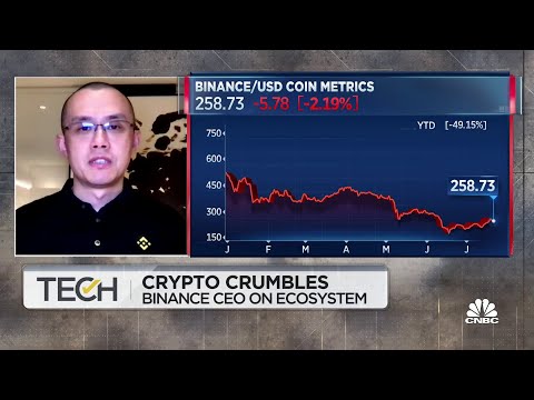 Many Players Haven't Managed Cash Reserves Well, Says Binance CEO