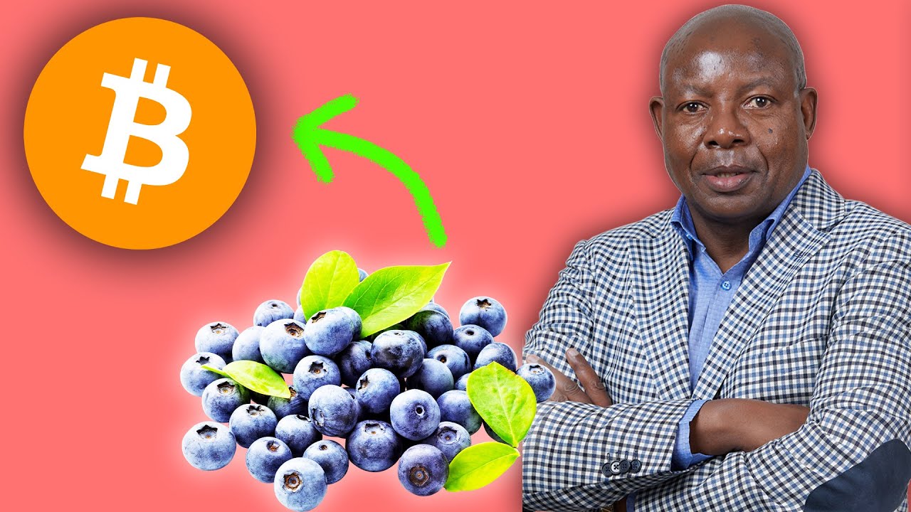 Blueberries for Bitcoin in Zimbabwe - Dr. Edwin Moyo
