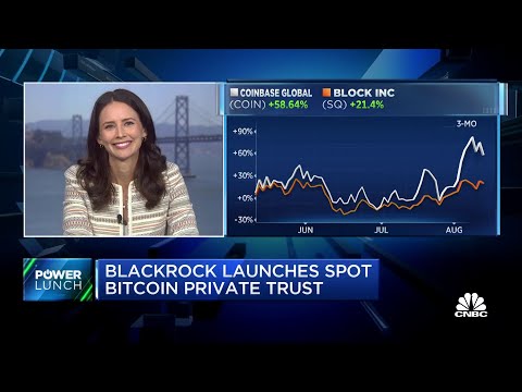 BlackRock Launches Private Trust to Track the Price of Bitcoin