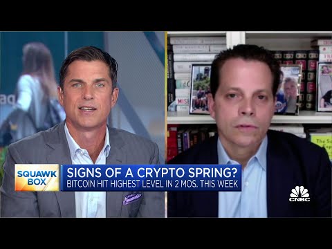 The Future of Crypto Is Upon Us, Says SkyBridge Capital's Scaramucci