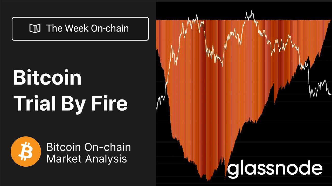 The Week On-chain: uma prova de fogo do Bitcoin